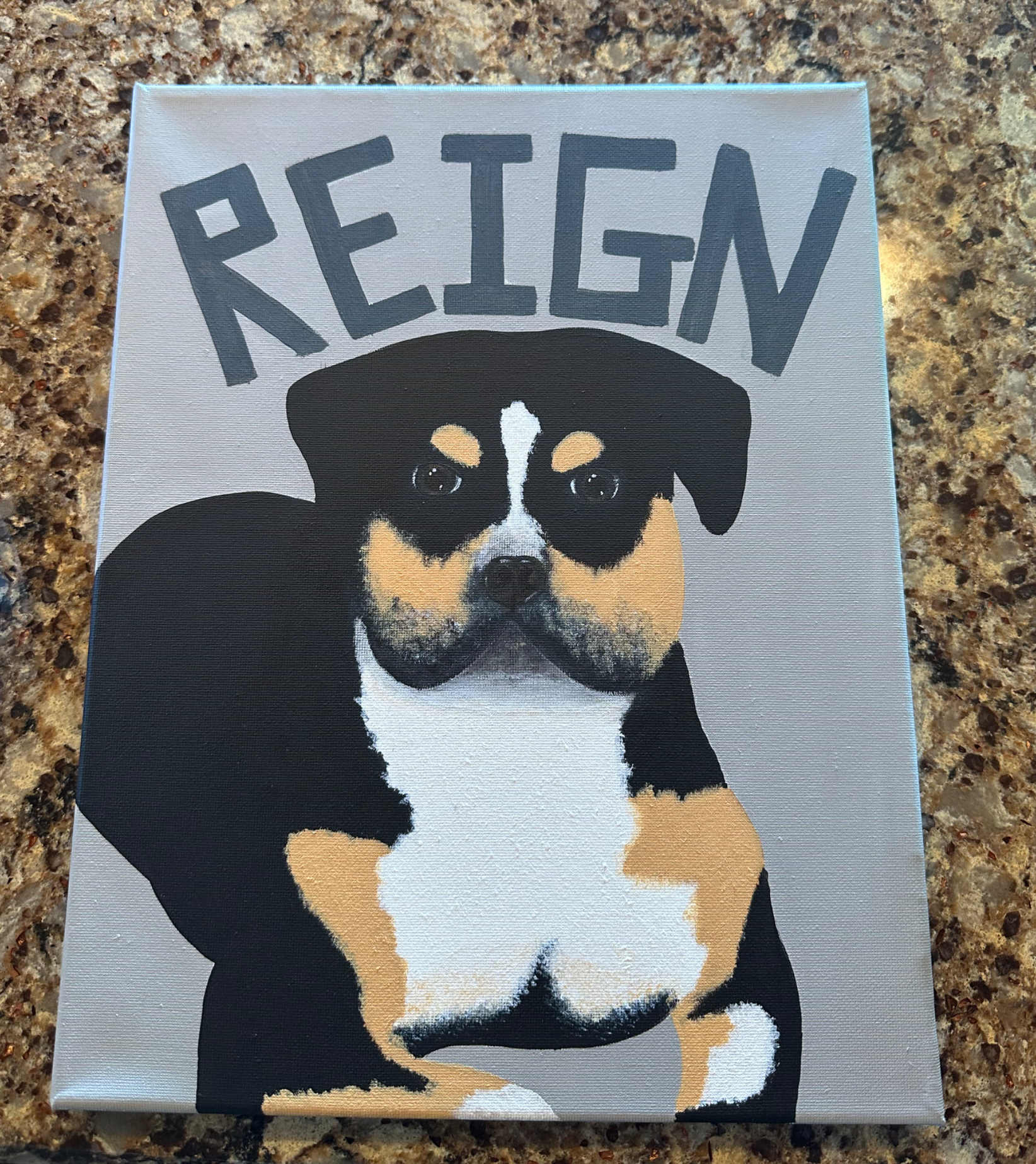 Dog Portrait 